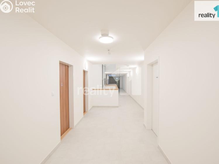 Pronájem bytu 1+KK Liberec, U Nisy č. 10