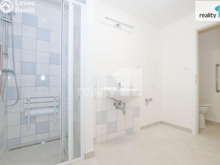 Pronájem bytu 1+KK Liberec, U Nisy č. 20