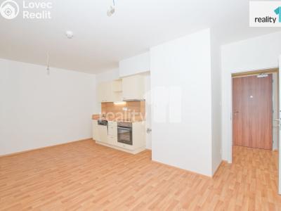 Pronájem bytu 1+KK Liberec, U Nisy č. 3