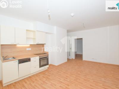 Pronájem bytu 1+KK Liberec, U Nisy č. 4