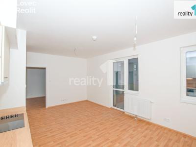 Pronájem bytu 1+KK Liberec, U Nisy č. 5