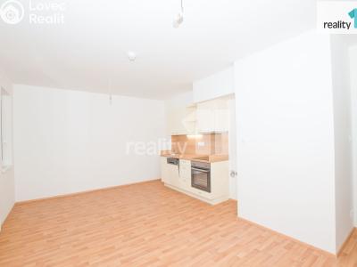 Pronájem bytu 1+KK Liberec, U Nisy č. 6