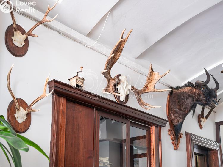 Prodej restaurace Doksy, Komenského 54 č. 15