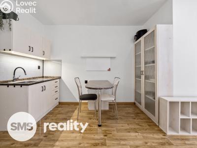 Pronájem bytu 1+KK Třebíč, Velkomeziříčská 1121 č. 1