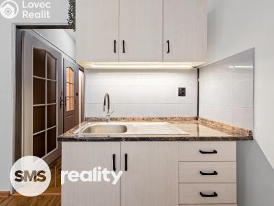 Pronájem bytu 1+KK Třebíč, Velkomeziříčská 1121 č. 2