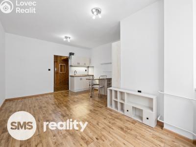 Pronájem bytu 1+KK Třebíč, Velkomeziříčská 1121 č. 4