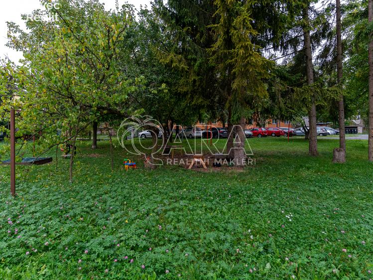 Pronájem bytu 2+1 Olomouc, tř. Míru 773/7 č. 11