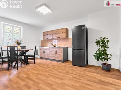 Prodej bytu 2+KK Ústí nad Labem, Klíšská č. 1