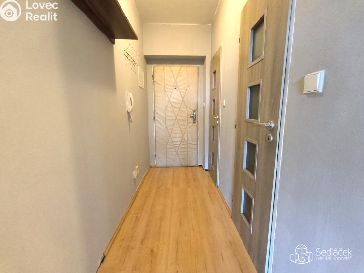 Pronájem bytu 2+1 Plesná, Kostelní č. 8