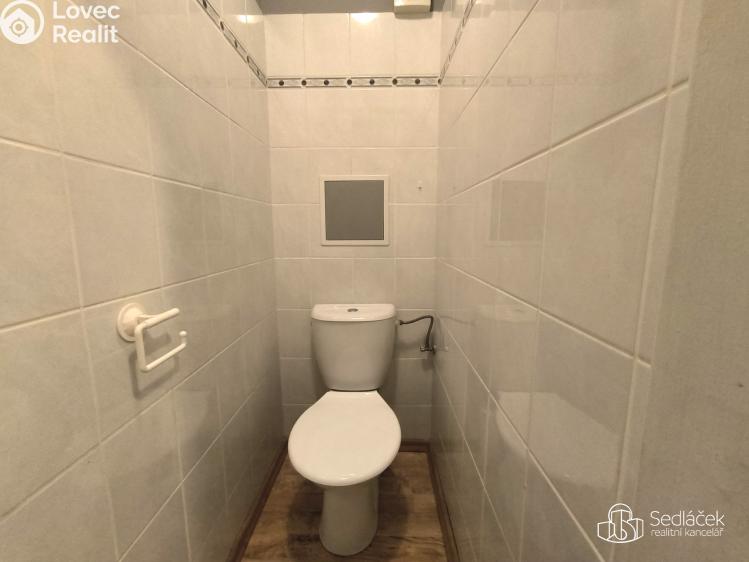 Pronájem bytu 2+1 Plesná, Kostelní č. 10