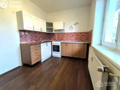 Pronájem bytu 2+1 Plesná, Kostelní č. 1