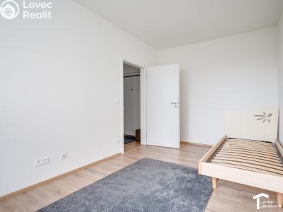 Pronájem bytu 3+KK Pardubice, Východní 563 č. 4