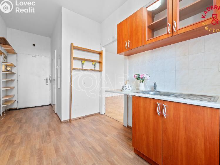 Prodej bytu 1+1 Brno, Slovinská 1183/3 č. 11