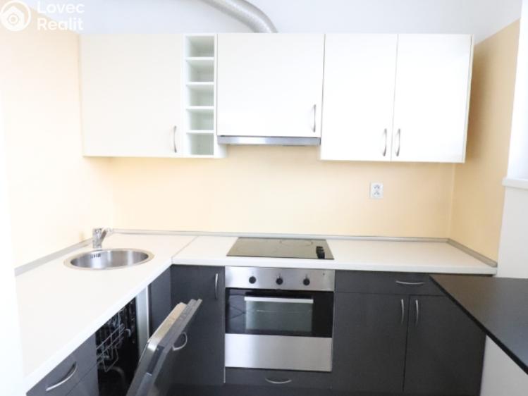 Pronájem bytu 1+KK Praha, Nademlejnská 1128/18d č. 3