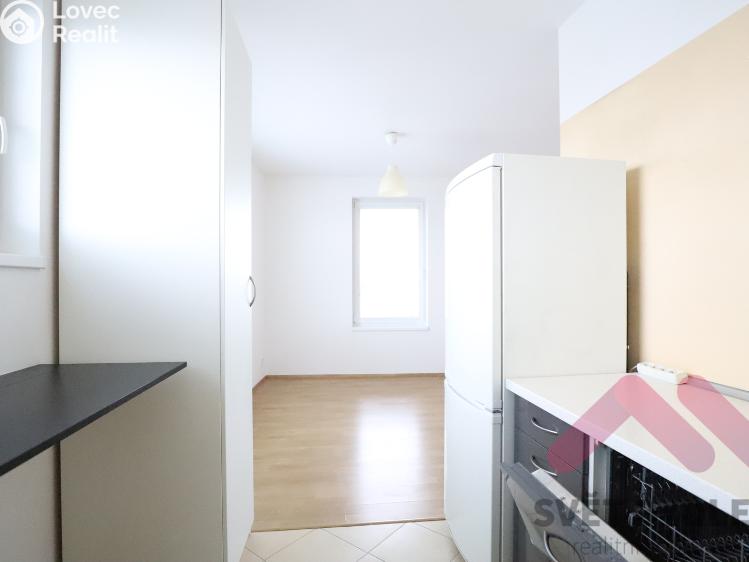 Pronájem bytu 1+KK Praha, Nademlejnská 1128/18d č. 4