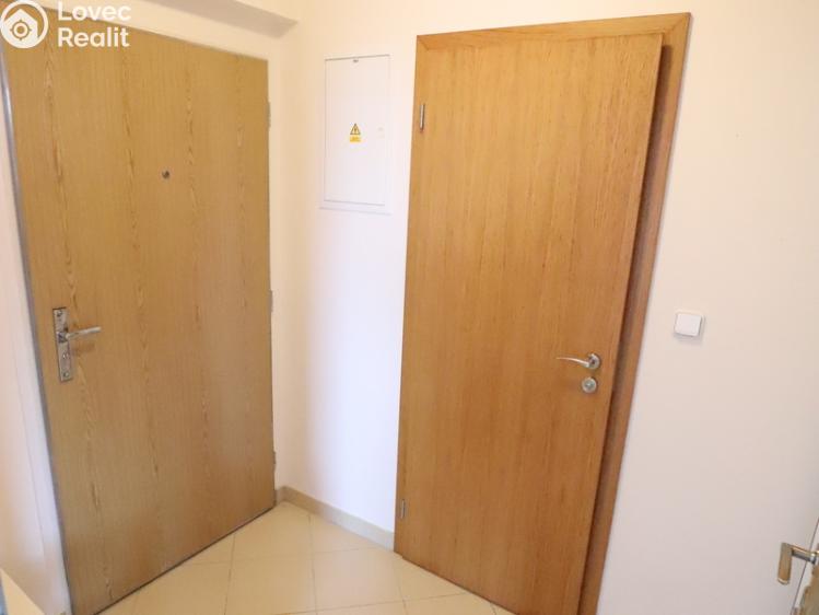 Pronájem bytu 1+KK Praha, Nademlejnská 1128/18d č. 8