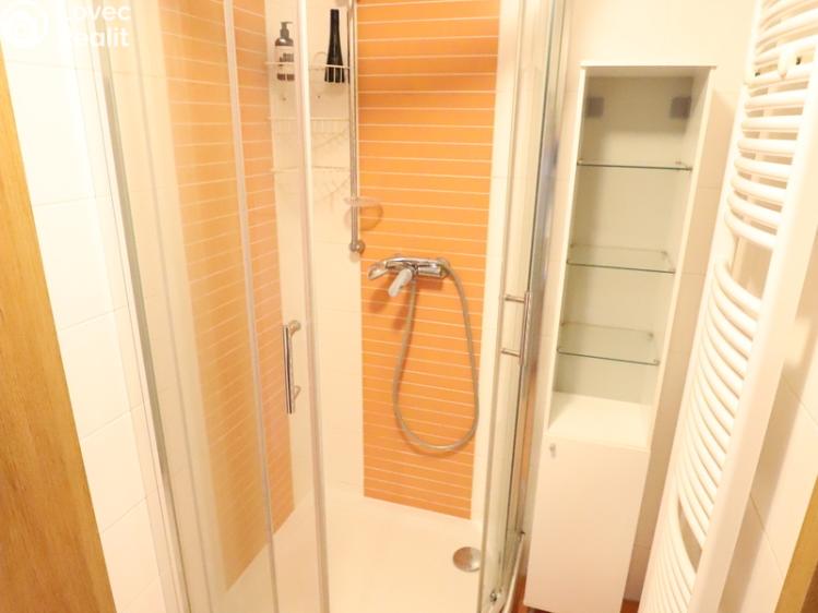 Pronájem bytu 1+KK Praha, Nademlejnská 1128/18d č. 13