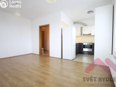 Pronájem bytu 1+KK Praha, Nademlejnská č. 2