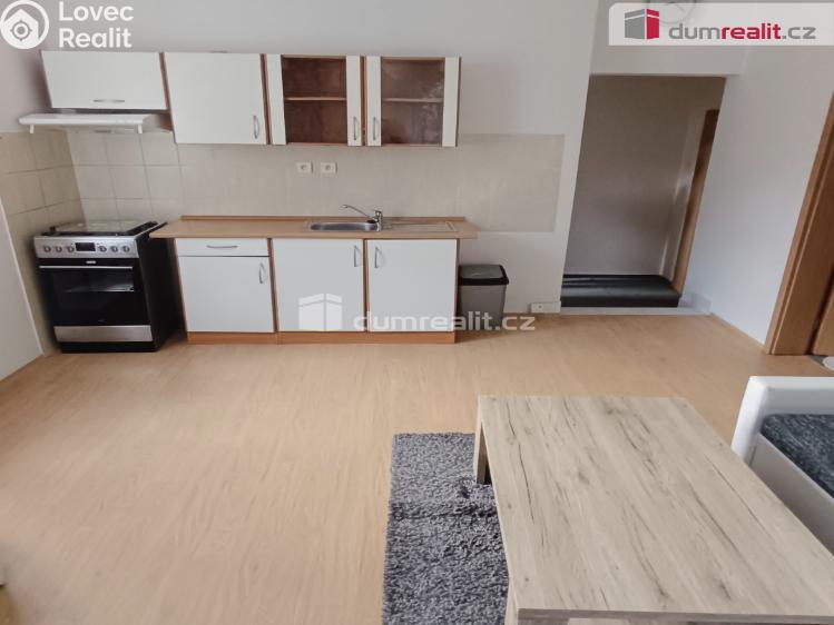 Pronájem bytu 1+1 Děčín, Saská č. 1