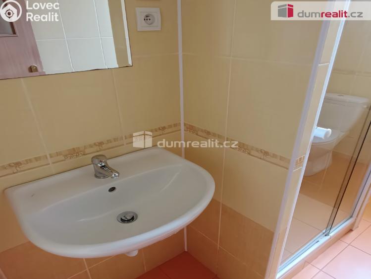 Pronájem bytu 1+1 Děčín, Saská č. 7