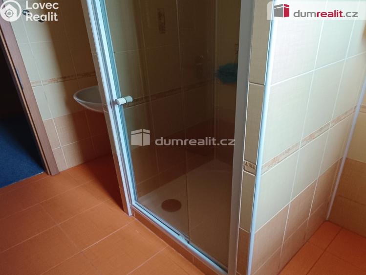 Pronájem bytu 1+1 Děčín, Saská č. 8