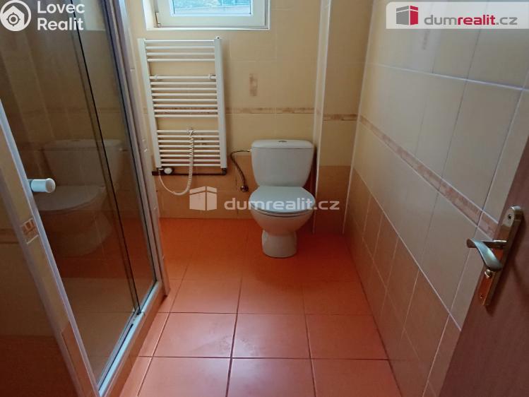 Pronájem bytu 1+1 Děčín, Saská č. 9