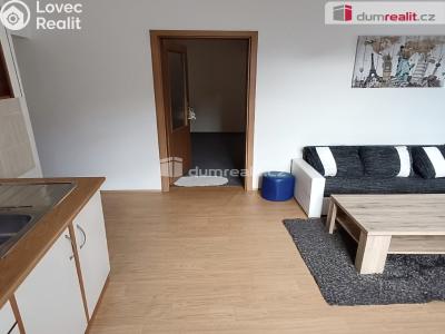 Pronájem bytu 1+1 Děčín, Saská č. 3