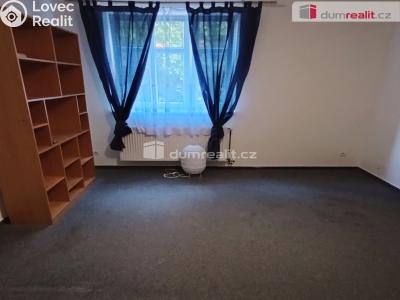 Pronájem bytu 1+1 Děčín, Saská č. 5