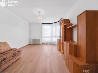 Pronájem bytu 1+1 Pardubice, Spojilská 1774 č. 4