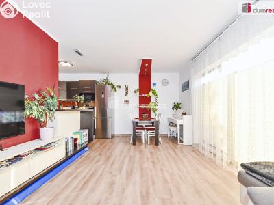 Prodej rodinného domu Chýně, Hájecká č. 3