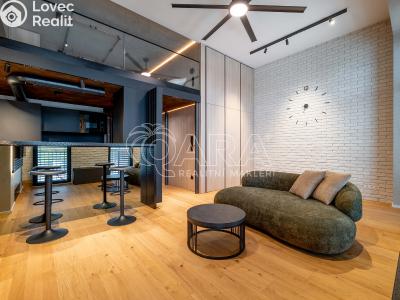 Pronájem bytu 1+KK Praha, Tusarova č. 4