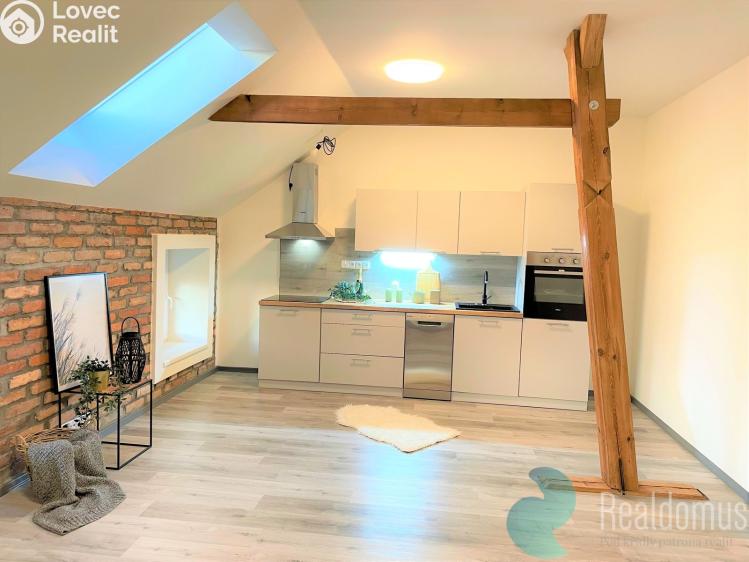 Аренда квартиры 3+1 Borovany č. 1