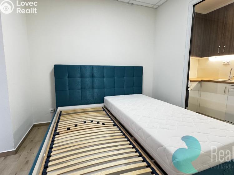 Rent apartment 2+KK Borovany č. 8