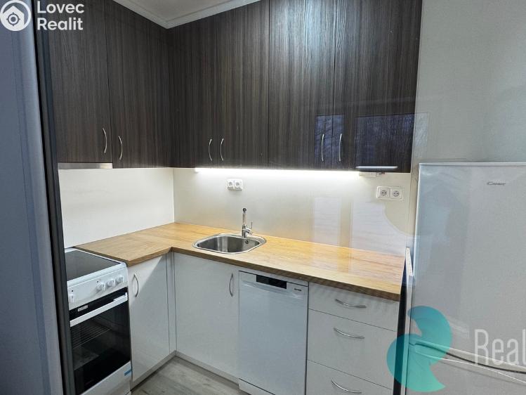 Rent apartment 2+KK Borovany č. 4
