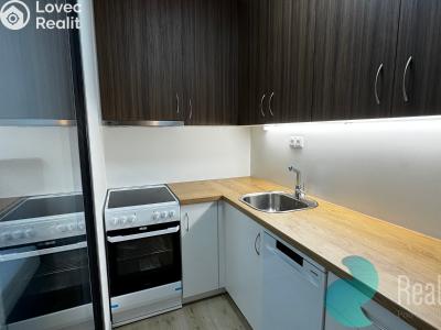 Аренда квартиры 2+KK Borovany č. 5