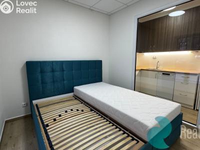 Pronájem bytu 2+KK Borovany č. 1