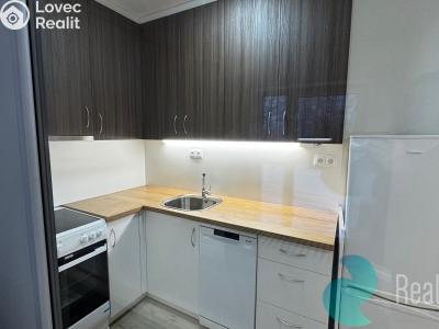 Оренда квартири 2+KK Borovany č. 4