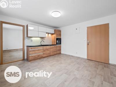 Pronájem bytu 2+KK Dolní Rožínka č. 2