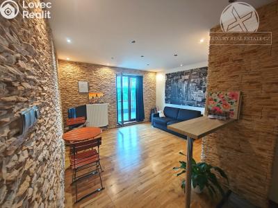 Pronájem bytu 1+KK Praha, Podolská č. 1