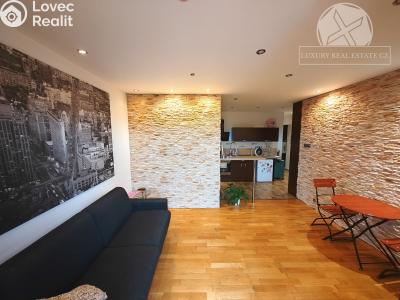 Pronájem bytu 1+KK Praha, Podolská č. 3