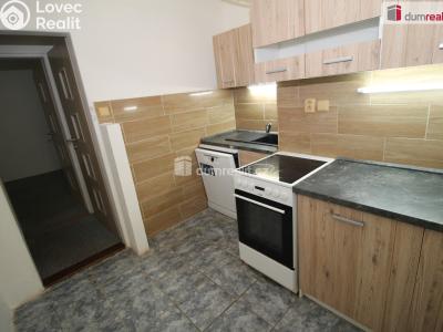 Pronájem bytu 2+1 Mariánské Lázně, Hlavní třída č. 4