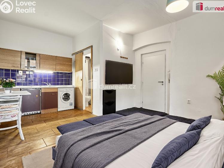 Pronájem bytu 1+KK Ústí nad Labem, Emy Destinové č. 16