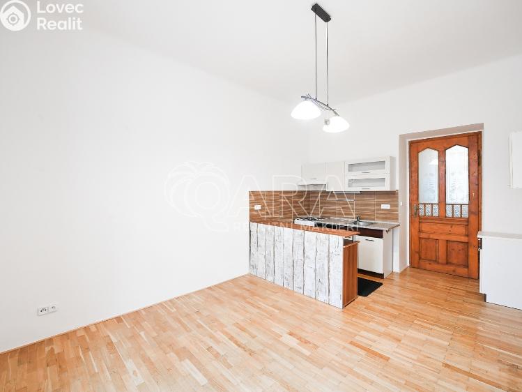 Аренда квартиры 2+KK Praha, Oldřichova 489/4 č. 6