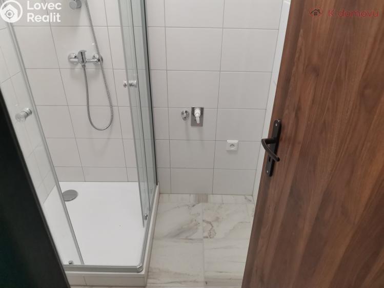 Pronájem bytu 1+1 Olomouc, Zahradní 573/5 č. 8