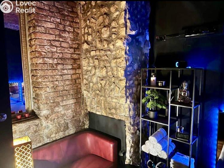 Pronájem obchodního prostoru Praha, Čajkovského č. 8