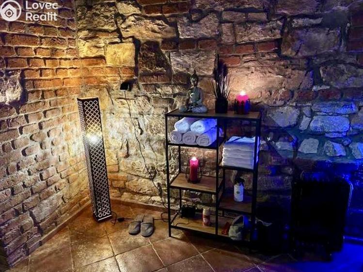 Pronájem obchodního prostoru Praha, Čajkovského č. 21