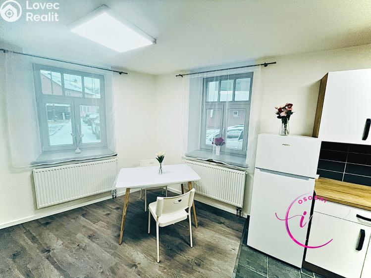 Pronájem bytu 1+1 Jihlava, Na Hliništi č. 10