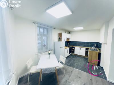 Pronájem bytu 1+1 Jihlava, Na Hliništi č. 1