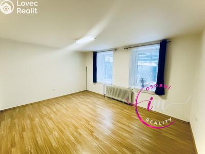 Pronájem bytu 1+1 Jihlava, Na Hliništi č. 4