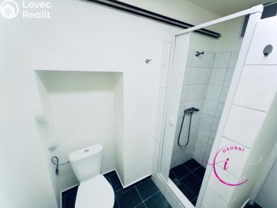 Pronájem bytu 1+1 Jihlava, Na Hliništi č. 6